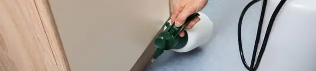 Bed bug exterminator treating baseboards and cracks with targeted spray in Wilmington, NC