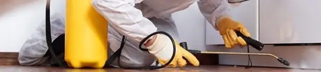 Roach exterminator treating cracks and crevices along kitchen baseboards in Wilmington, NC